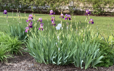 MAY2023 NEWSLETTER